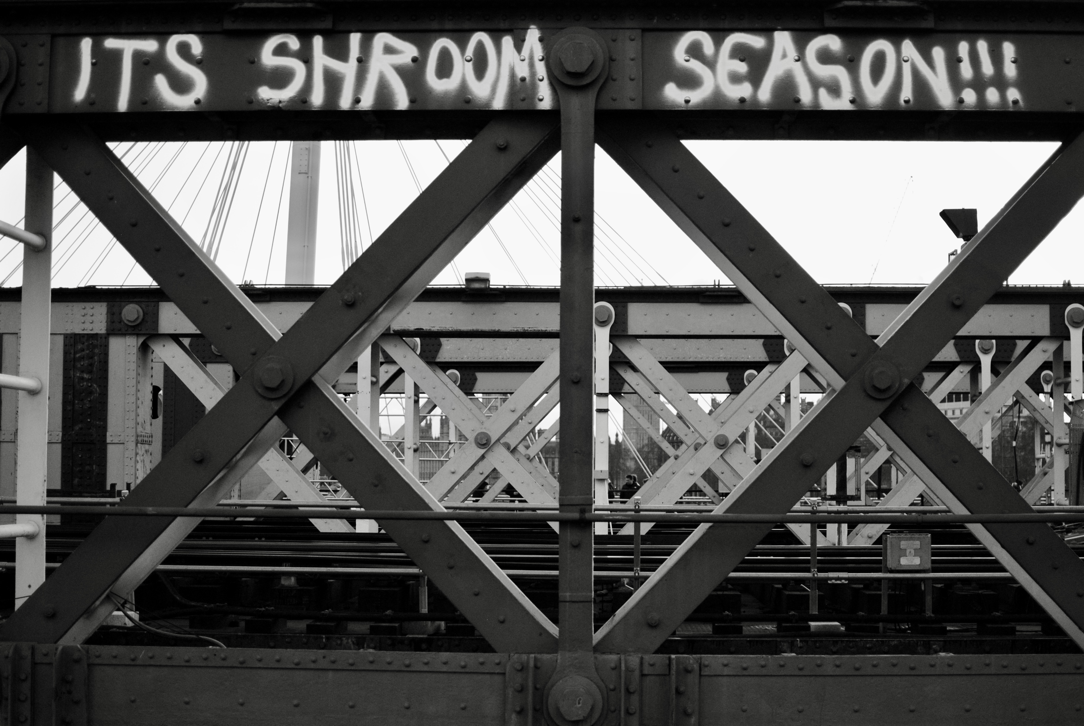 Its Shroom Season painting in white on a bridge